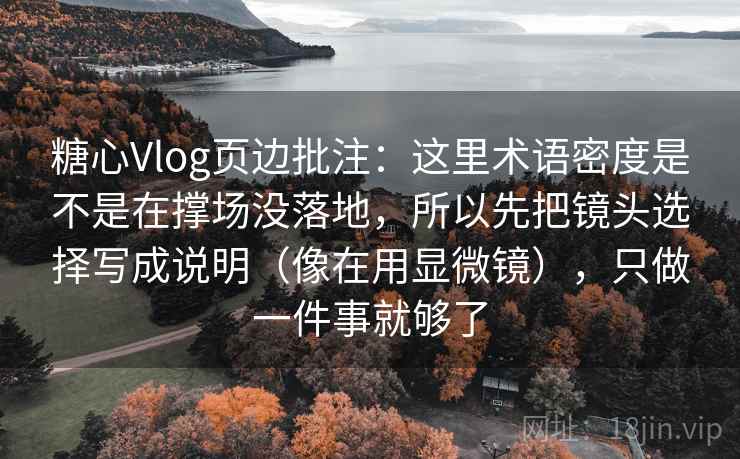 糖心Vlog页边批注：这里术语密度是不是在撑场没落地，所以先把镜头选择写成说明（像在用显微镜），只做一件事就够了  第2张